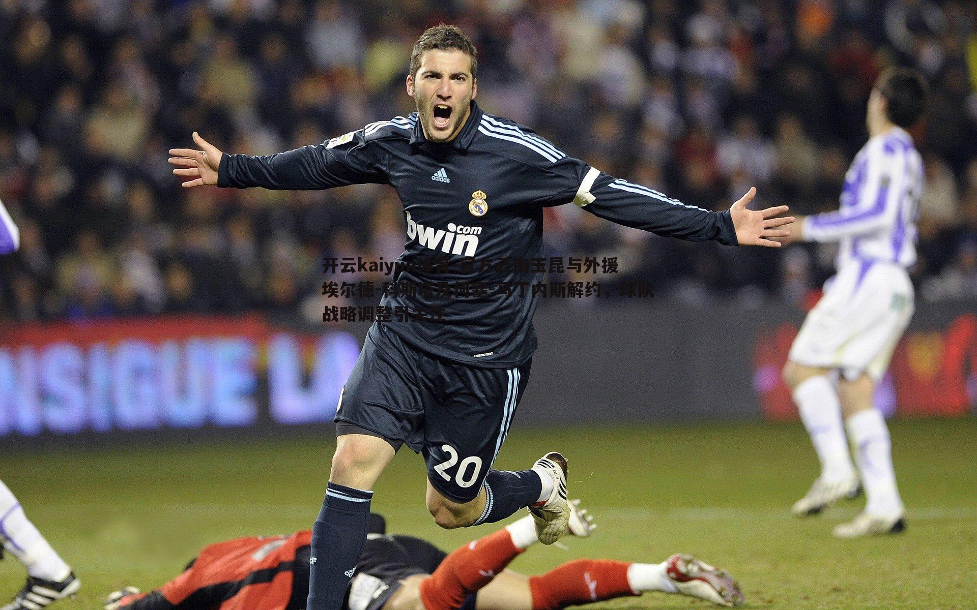 官方云南玉昆与外援埃尔德-科斯塔及何塞-马丁内斯解约，球队战略调整引关注